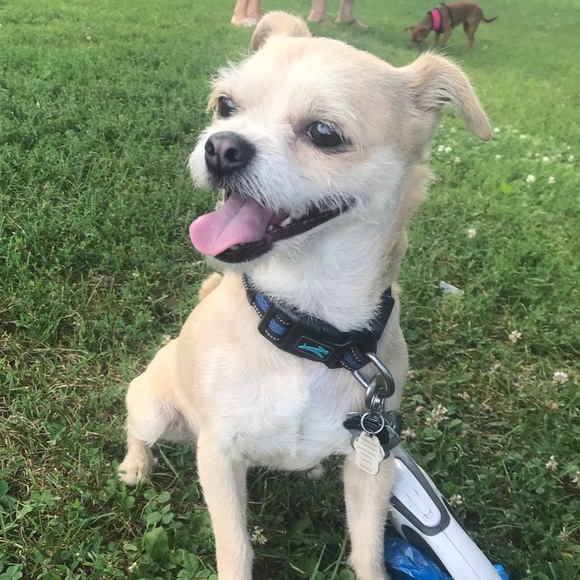 Meet your Posher - Picture 1 of 1